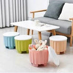 Plastic Large Capacity Storage Box