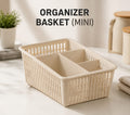 Mini Storage Organizer Basket
