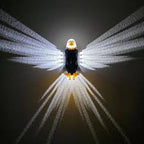 Eagle Wing Shadow Lamp – Decorative Ambient Light